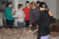 /album/exkurze-do-tiskarny-a-muzea-casu/dsc07767-jpg/